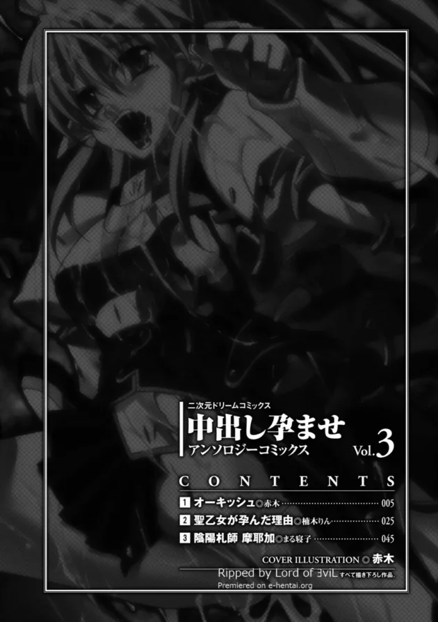 高貴なハイエルフの女騎士を奴隷になる首輪をつけさせて意識があるのに逆らえない状態にしてオークの巨大チンコで陵辱して中出しして家畜奴隷にしてやった【無料 エロ同人】4