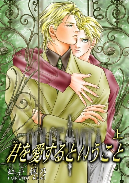 外人のイケメンとイケメンが愛し合っているＢＬ作品ｗｗｗｗｗｗｗｗｗｗｗｗｗ